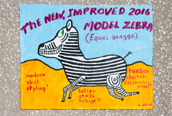 Roger Allen 2016 Zebra Model